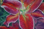 stargazer_2